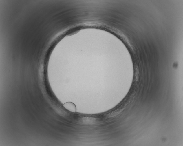 X0000116590535201001211328