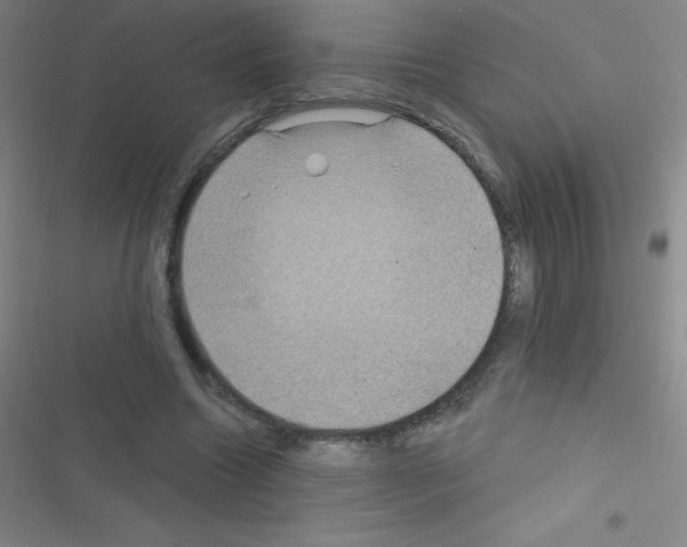 X0000116590538201001211328