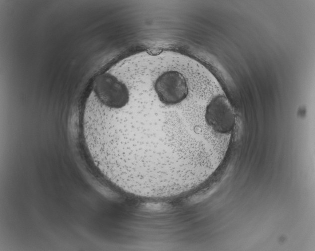 X0000116590541201001211328