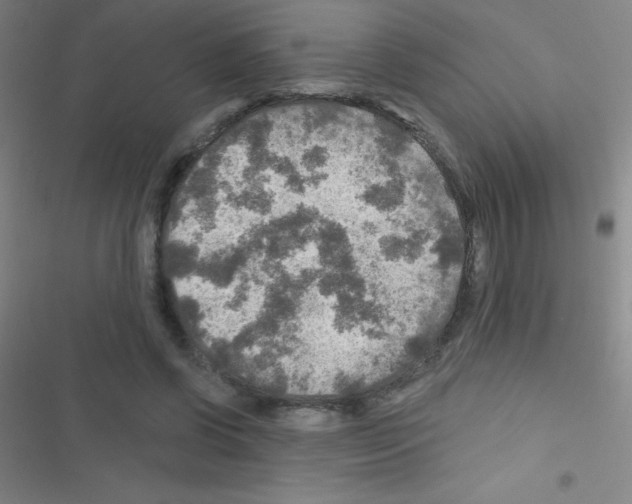 X0000116590542201001211328