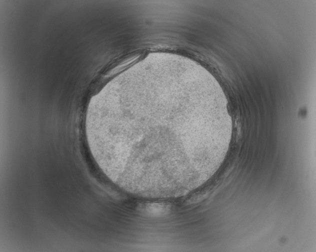 X0000116590546201001211328