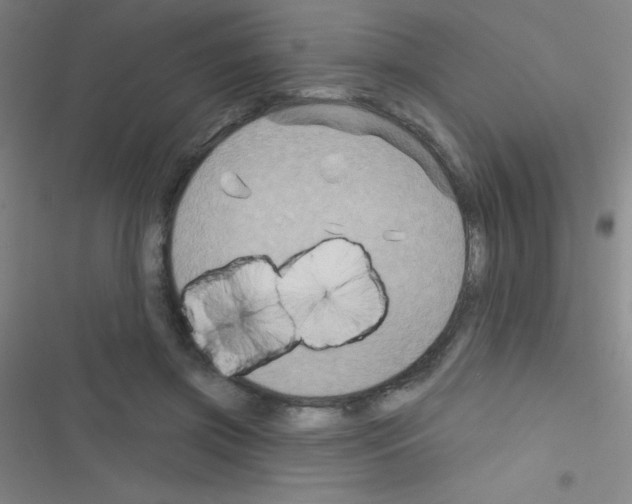 X0000116590549201001211328