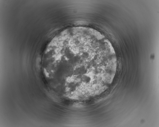 X0000116590550201001211328