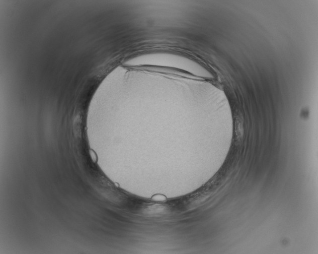 X0000116590551201001211328