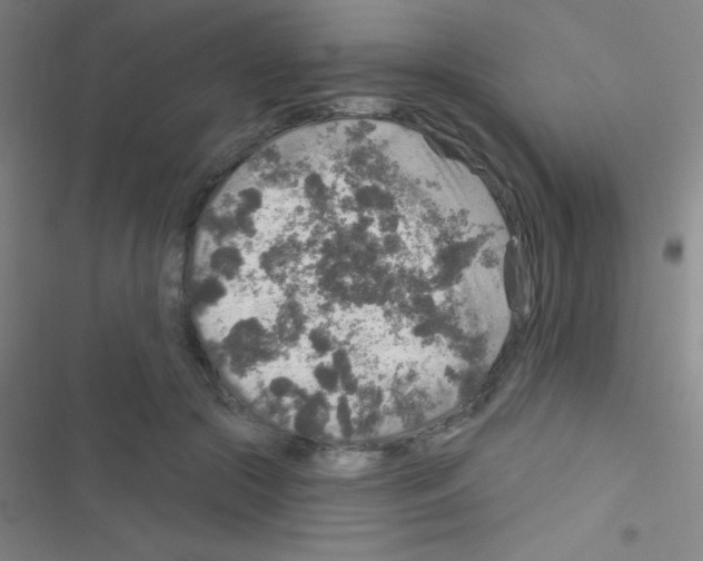 X0000116590553201001211328