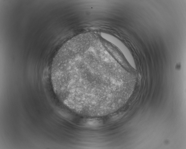 X0000116590555201001211328