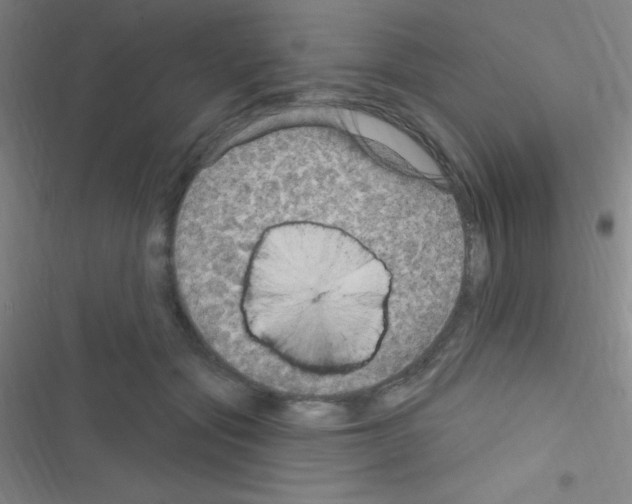 X0000116590557201001211328