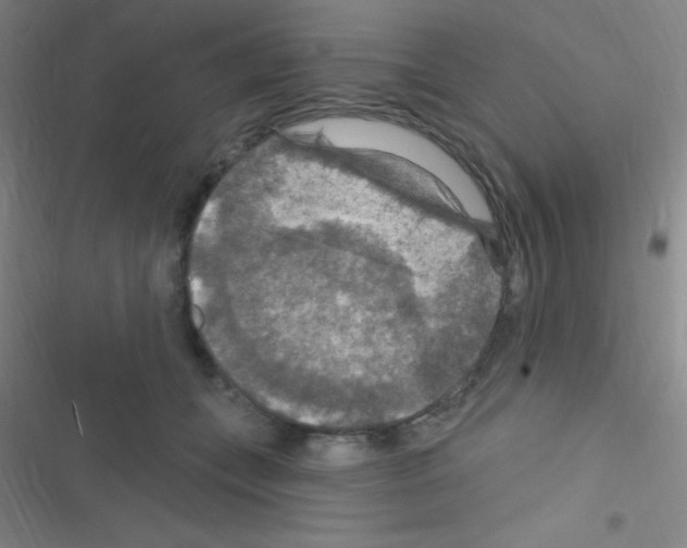 X0000116590559201001211328