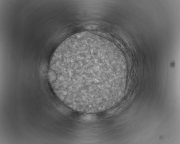 X0000116590561201001211328