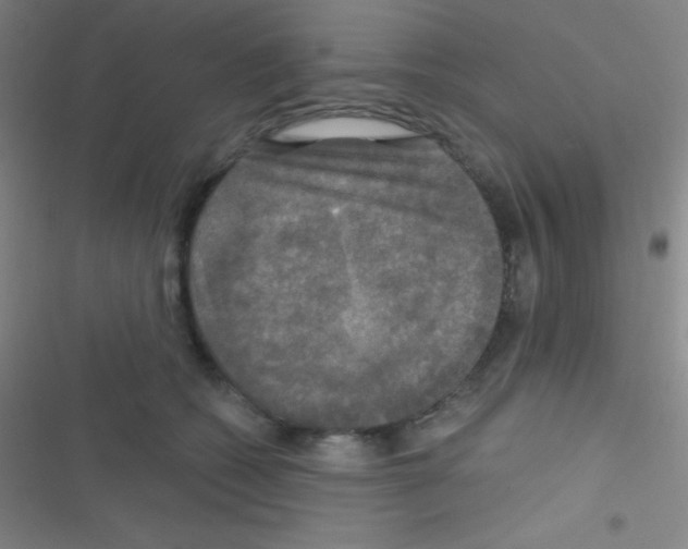 X0000116590562201001211328