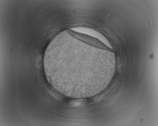 X0000116590563201001211328