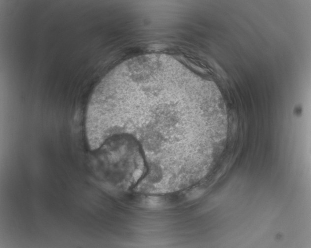 X0000116590565201001211328