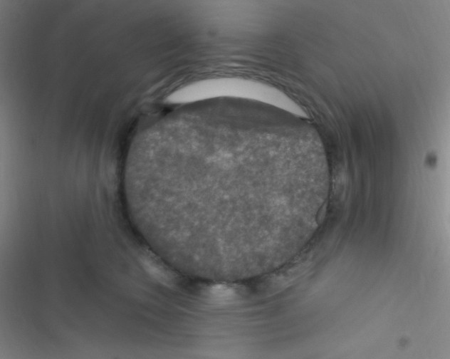 X0000116590566201001211328