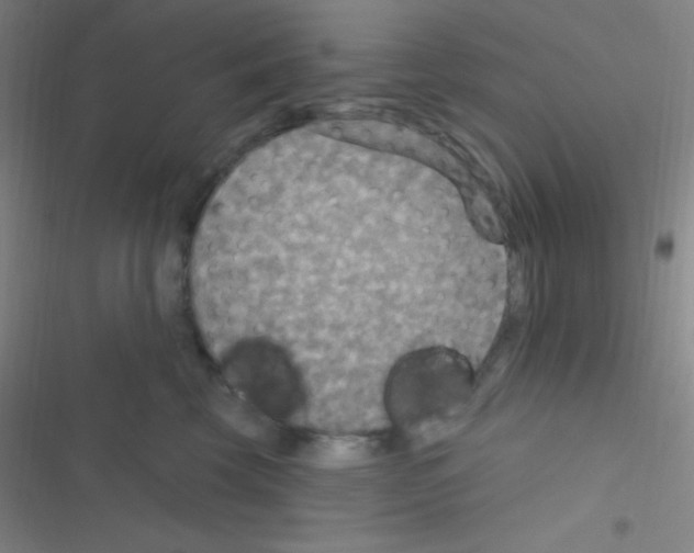 X0000116590569201001211328