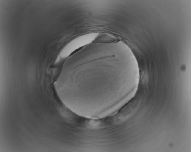 X0000116590570201001211328