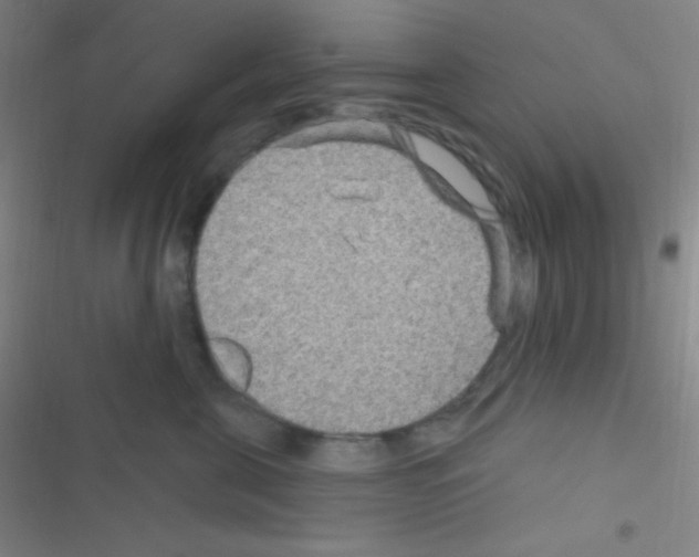 X0000116590571201001211328