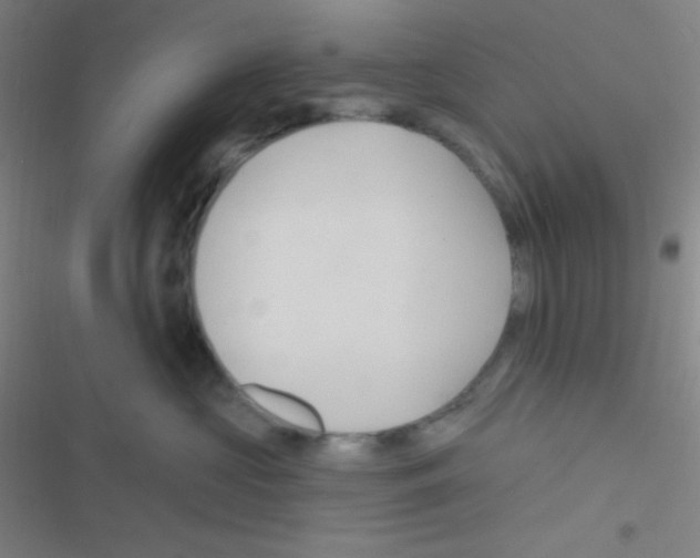 X0000116590573201001211328