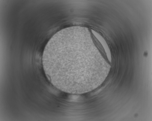 X0000116590575201001211328