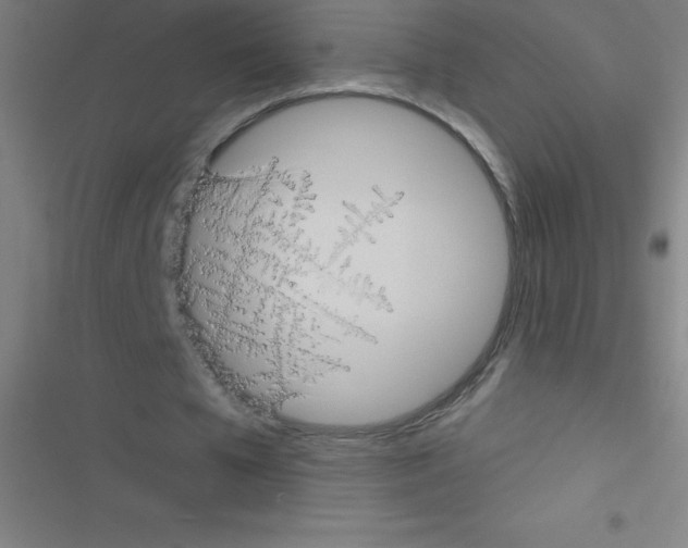 X0000116590577201001211328