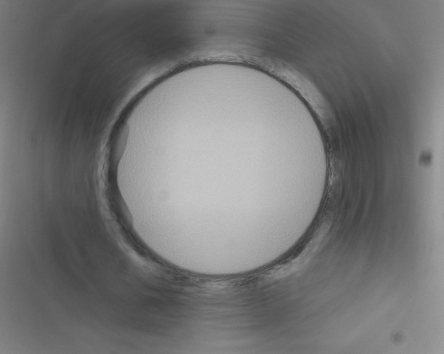 X0000116590578201001211328