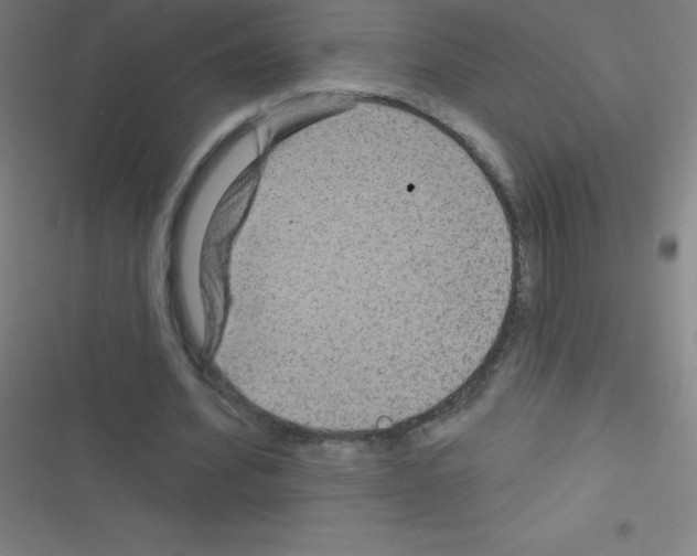 X0000116590580201001211328