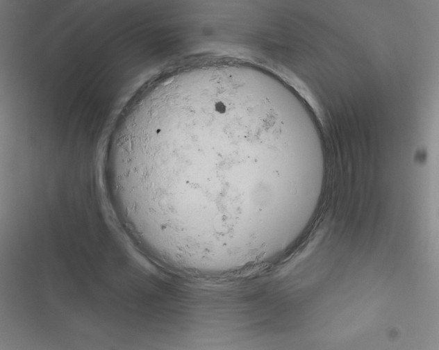 X0000116590581201001211328