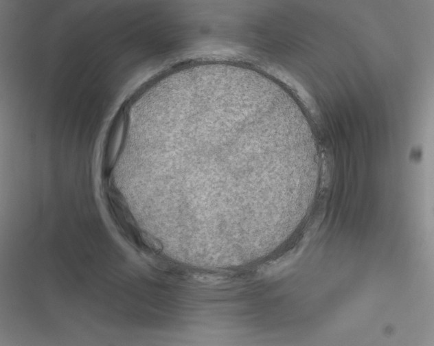 X0000116590582201001211328