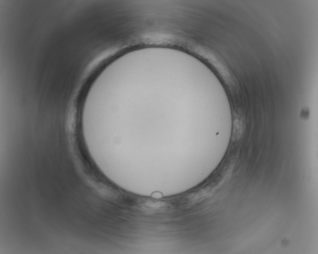 X0000116590583201001211328