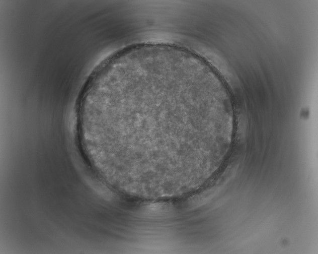 X0000116590584201001211328