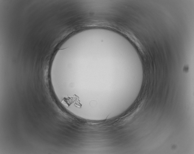 X0000116590585201001211328