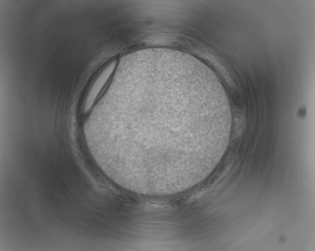 X0000116590586201001211328