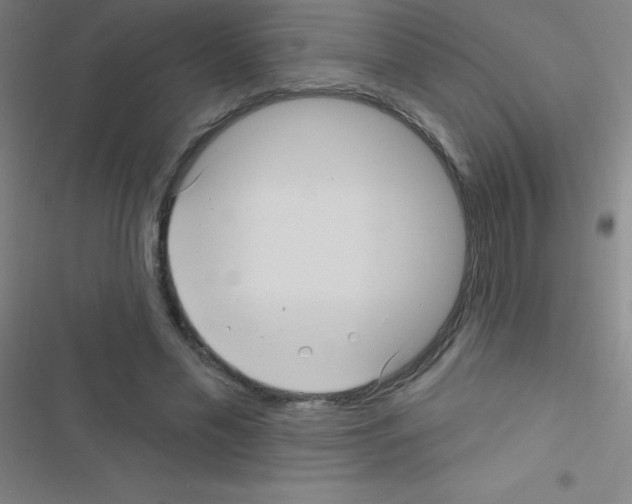 X0000116590589201001211328