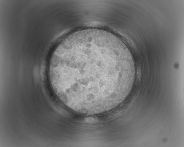 X0000116590591201001211328