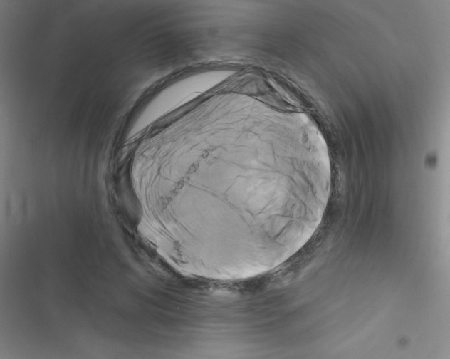 X0000116590592201001211328