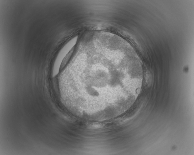 X0000116590594201001211328