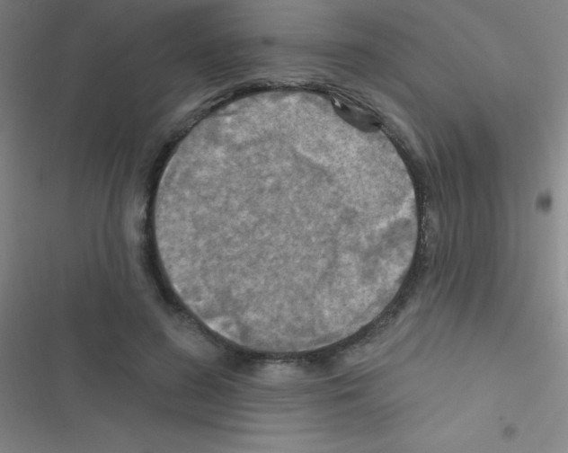 X0000116590596201001211328