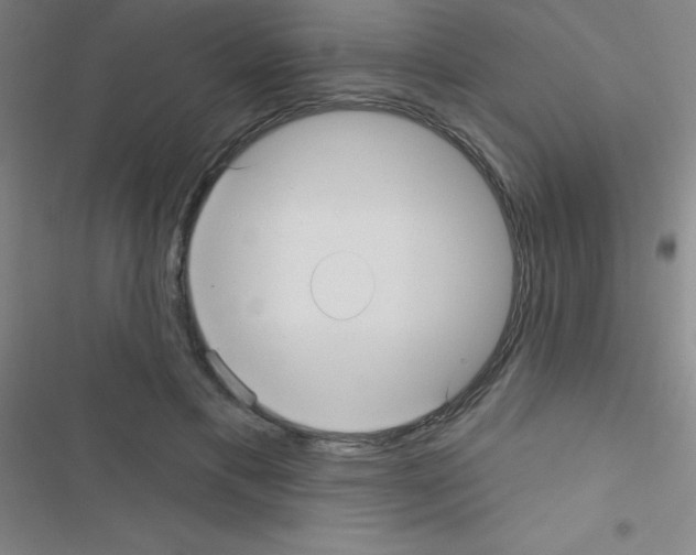 X0000116590597201001211327