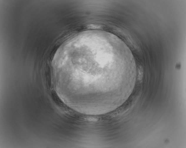 X0000116590598201001211327