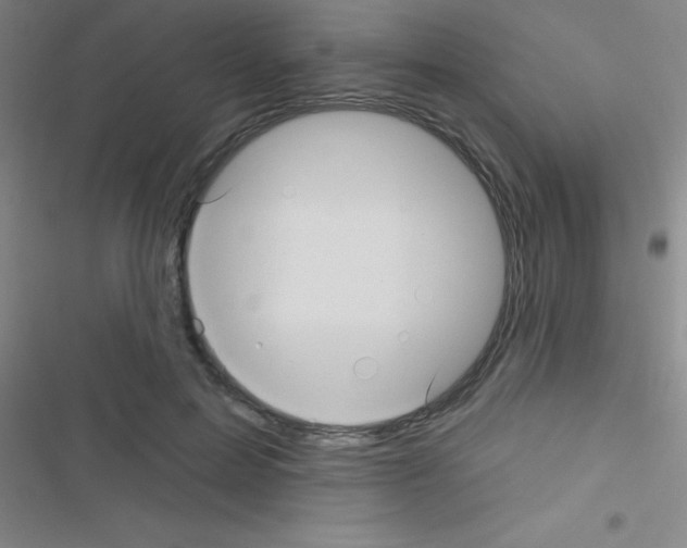 X0000116590599201001211327