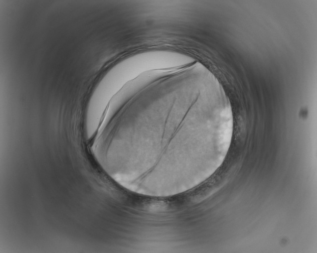 X0000116590600201001211327