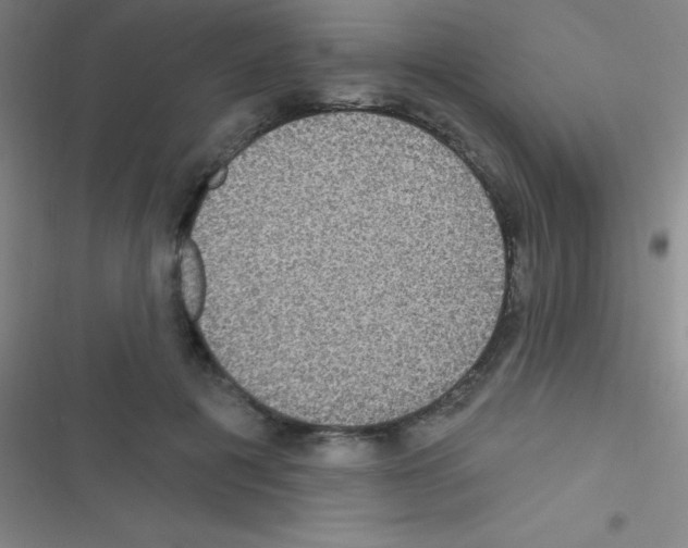 X0000116590601201001211327