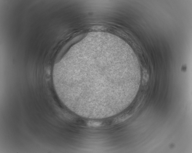 X0000116590602201001211327