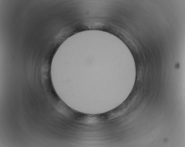 X0000116590604201001211327