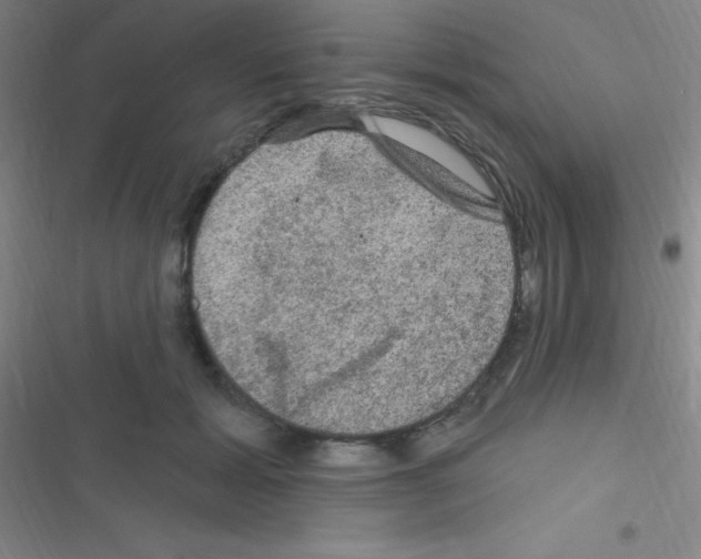 X0000116590605201001211327