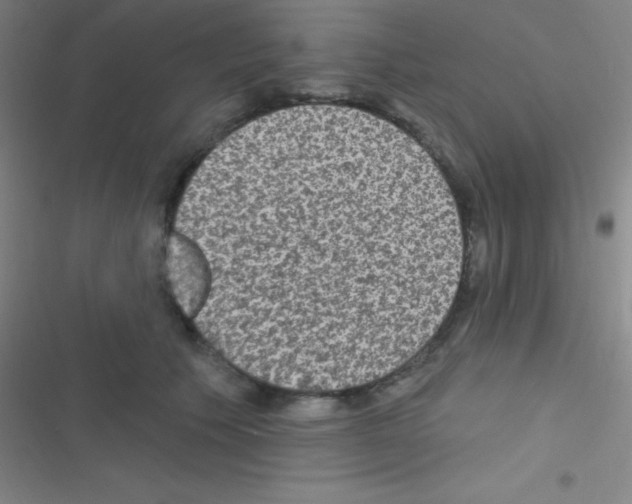 X0000116590609201001211327