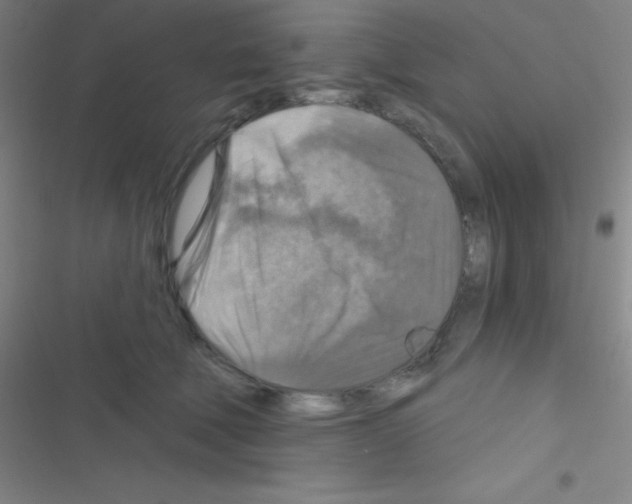 X0000116590610201001211327