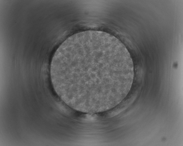 X0000116590612201001211327