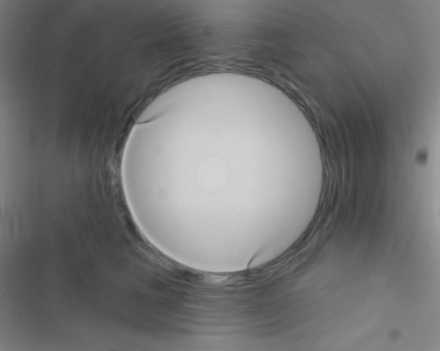 X0000116590613201001211327