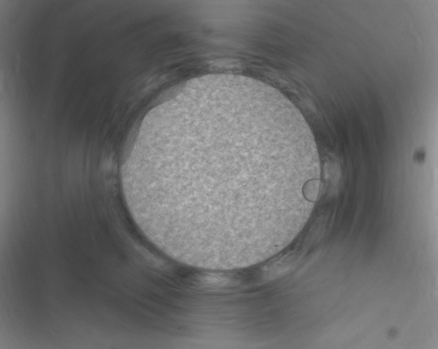 X0000116590614201001211327