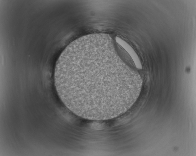 X0000116590615201001211327